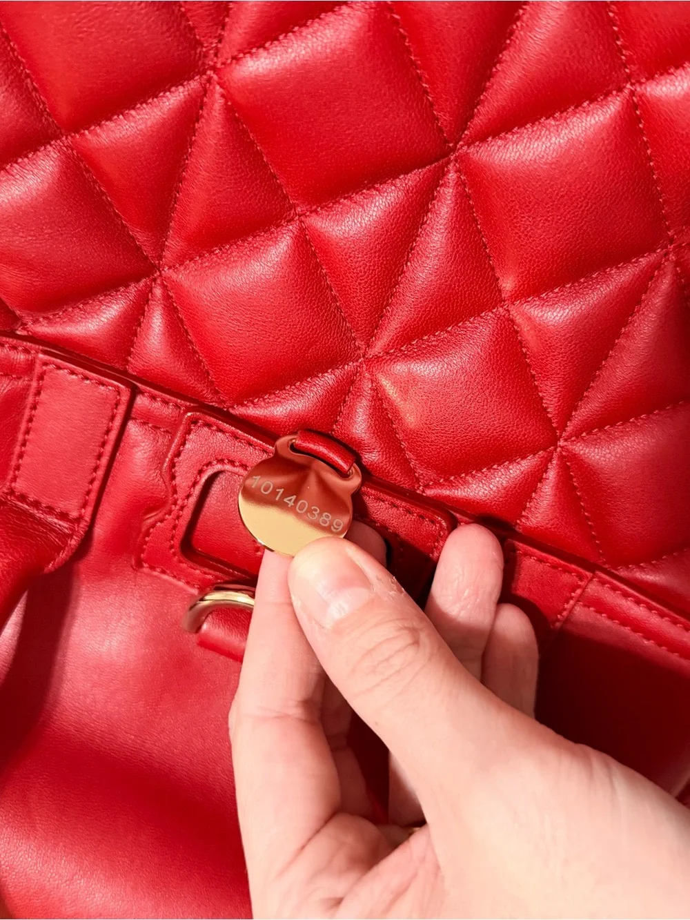 Mulberry Mini Cara Delevigne Bag